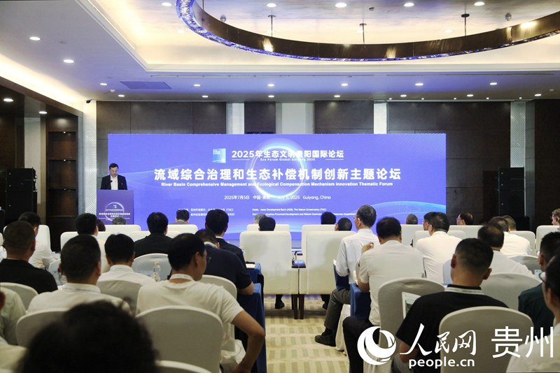 論壇現場。人民網 龍章榆攝