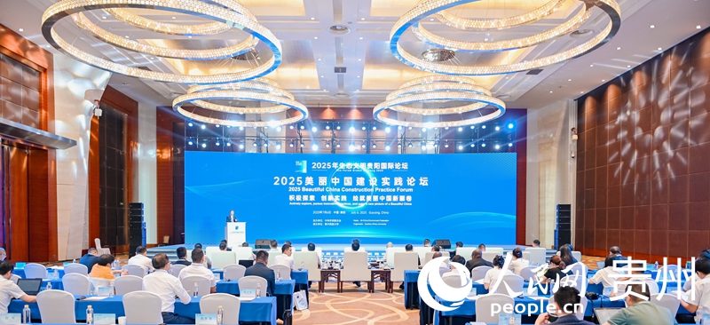 論壇現場。人民網記者 高華攝