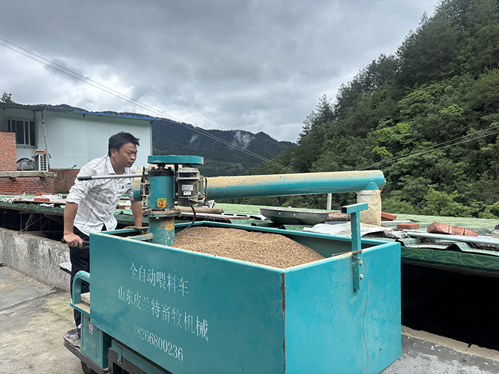 工人正在給鴨子喂食。王洪婭攝）