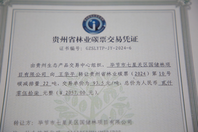 碳票交易憑證。