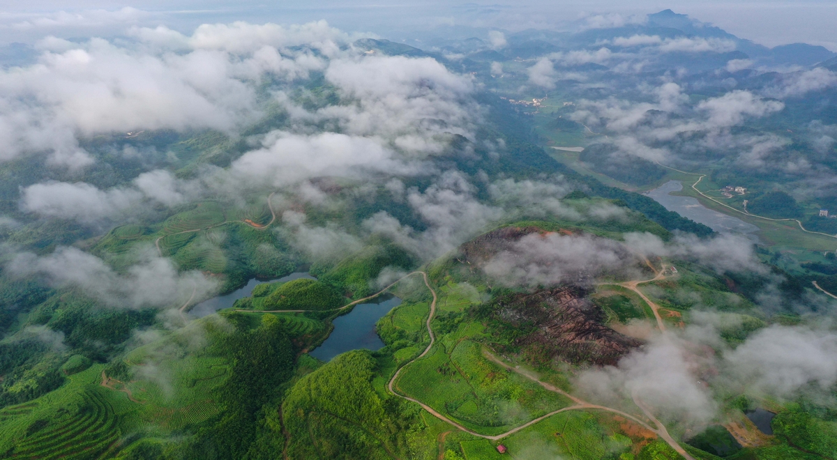 盤石鎮紅石林景區