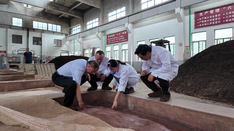 醬科所工作人員到酒企查看制酒。