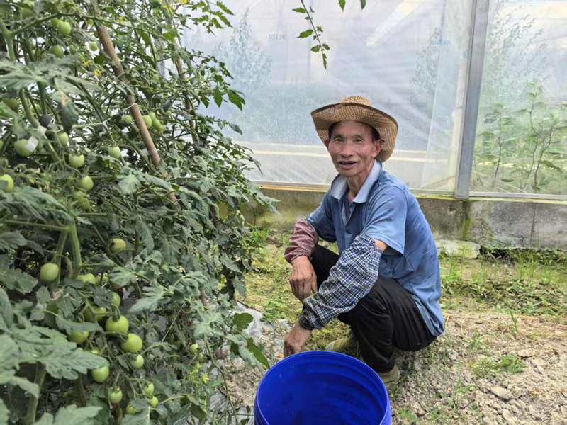 在基地里務工的劉大叔。