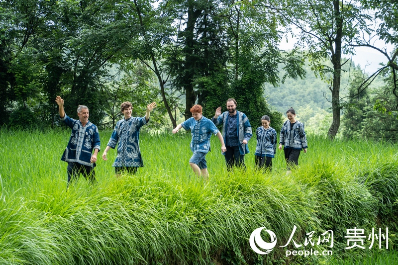 歐洲音樂家換上扎染民族服飾,漫步鄉野稻田。人民網 陽茜攝