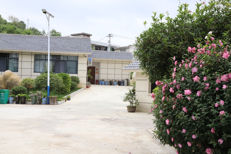 幸福村民宿外部環境。