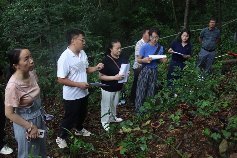 專家正對示范種植基地進行測產。