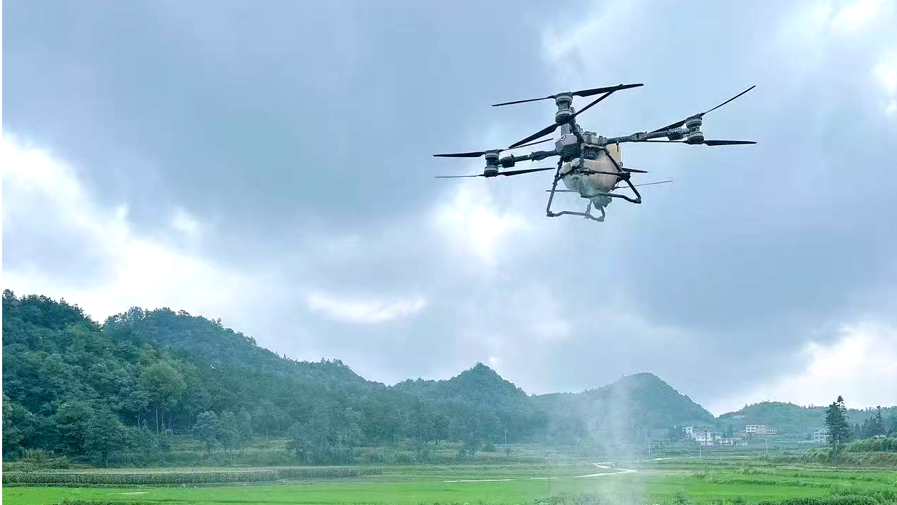 無人機噴灑藥物。