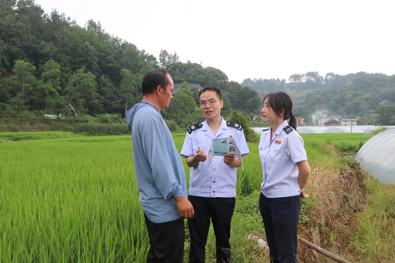 稅務干部在田間地頭向合作社負責人宣講政策。高慧攝