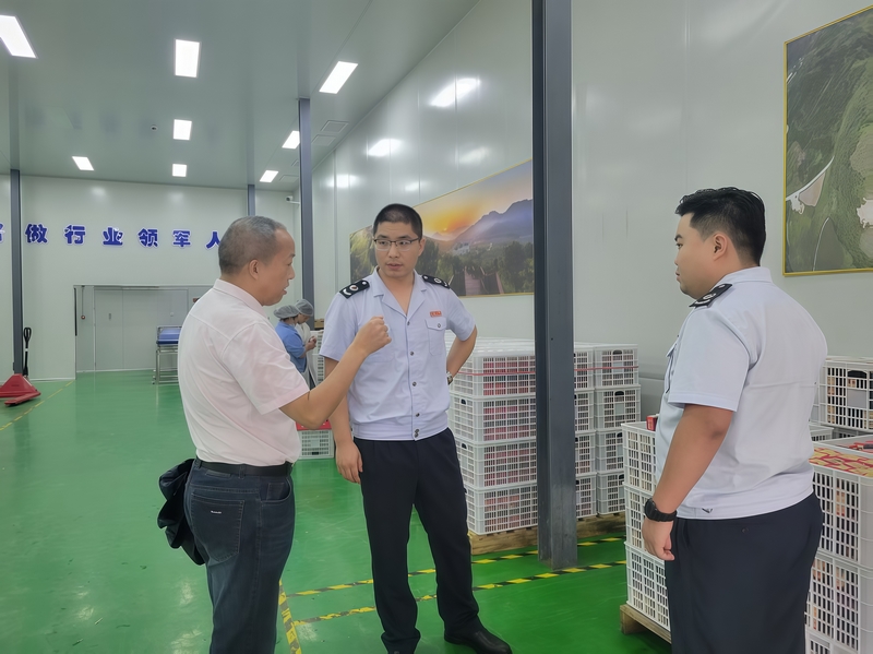 藍莓稅管家”團隊到貴州藍莓印象產業發展有限公司了解生產具體情況并進行輔導。劉盛琦攝