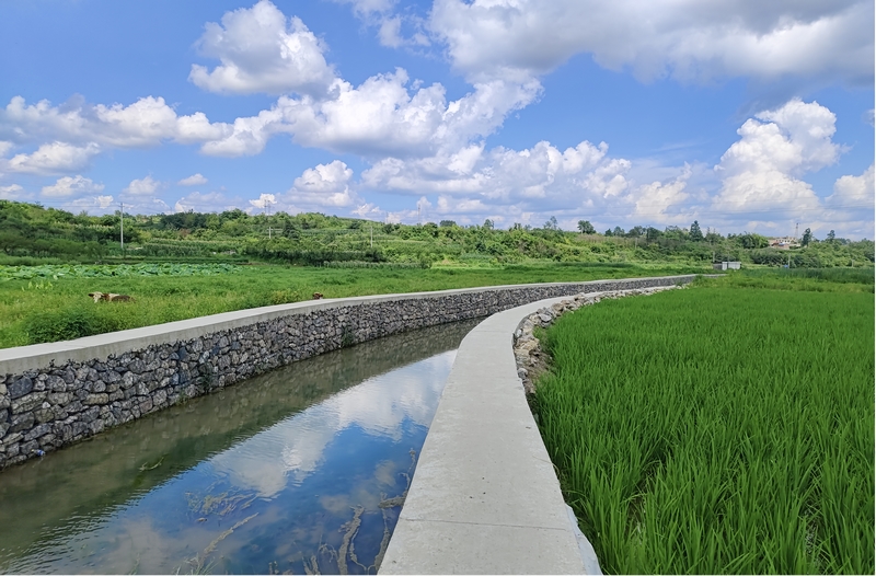 改后的水池、水環境。