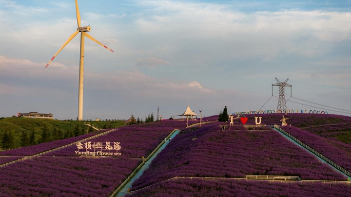 花溪云頂花海。