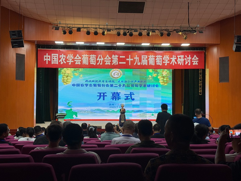 活動現場。劉心怡攝