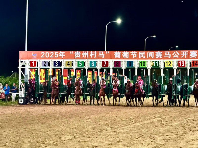 貴州村馬夜跑開跑。劉心怡攝