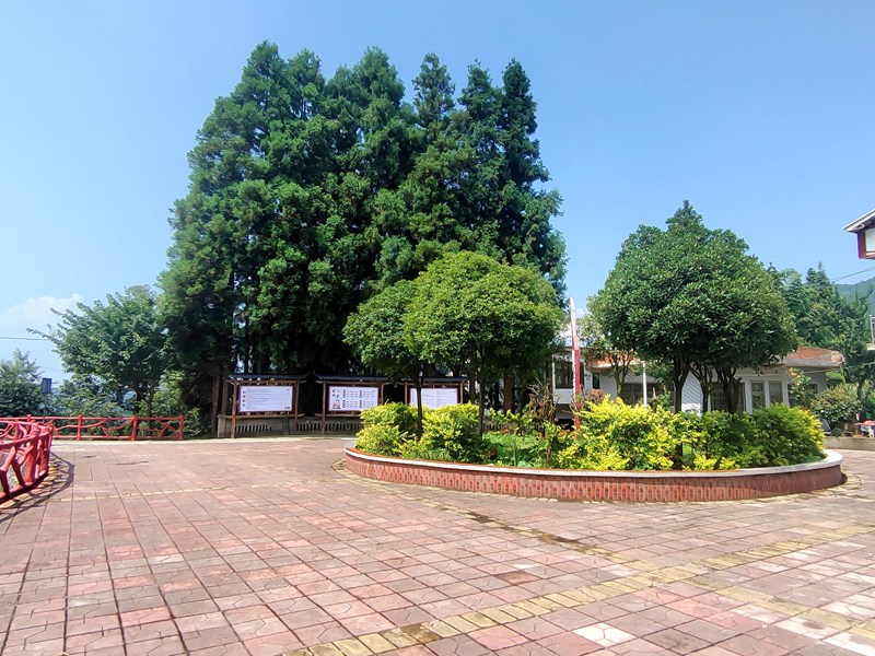 小壩鎮公雞山村廣場干凈整潔。萬飄陽攝