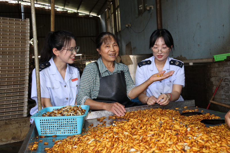 稅務干部到貴州絲路興蠶紡織有限公司走訪調研,查看企業生產經營情況。 鄧萍攝