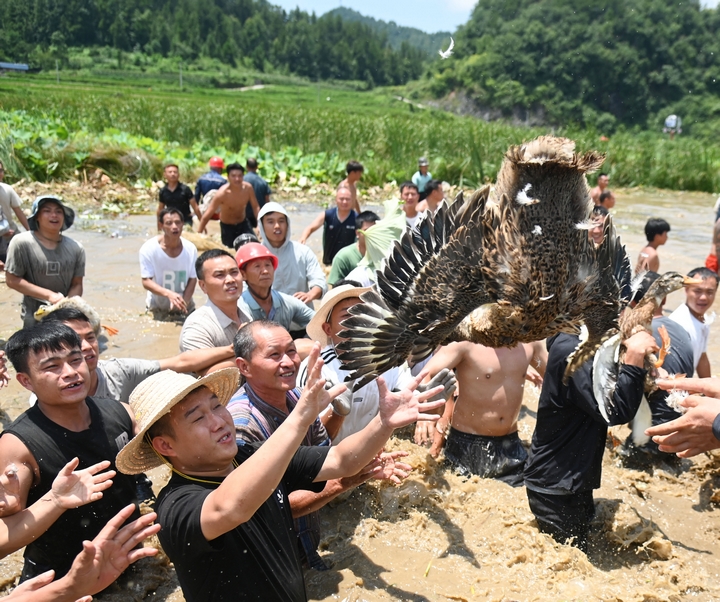 7月30日，松桃苗族自治縣長(zhǎng)興堡鎮(zhèn)，游客在搶鴨子。