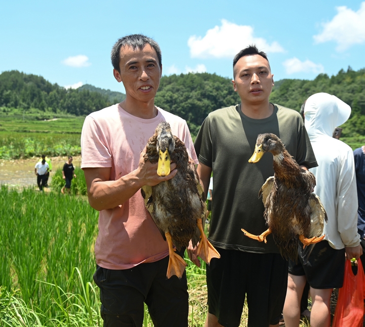7月30日，在松桃苗族自治縣長(zhǎng)興堡鎮(zhèn)“六月六”活動(dòng)中，游客在展示搶到的鴨子。