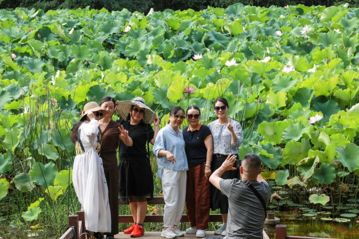 荷花吸引了眾多市民打卡。.jpg