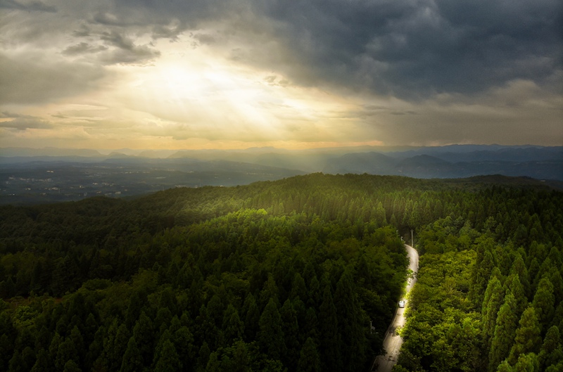 盛夏,七星關區拱攏坪國有林場綠意盎然,景色怡人。文杰攝