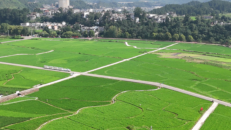 田園風光美如畫。