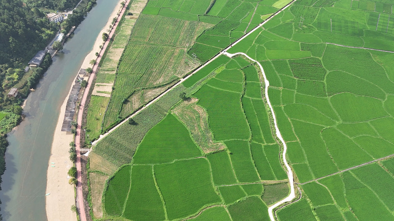 田園風(fēng)光美如畫。