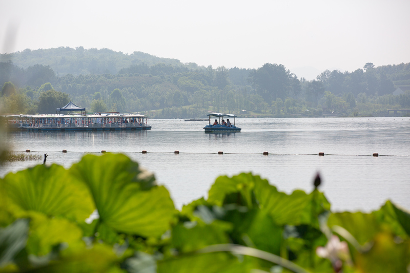 夏日七星關區(qū)金海湖濕地公園內,草木蔥蘢,碧水如鏡,景美如畫。