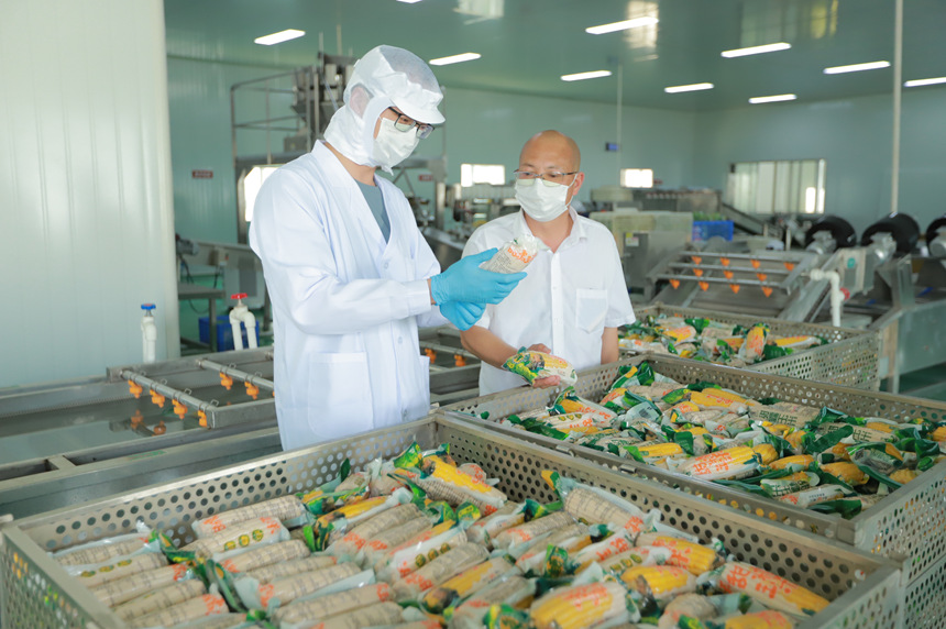 省農(nóng)業(yè)科學(xué)院旱糧研究所一名專家在幫助企業(yè)解決鮮食玉米加工脹袋問題。王東攝