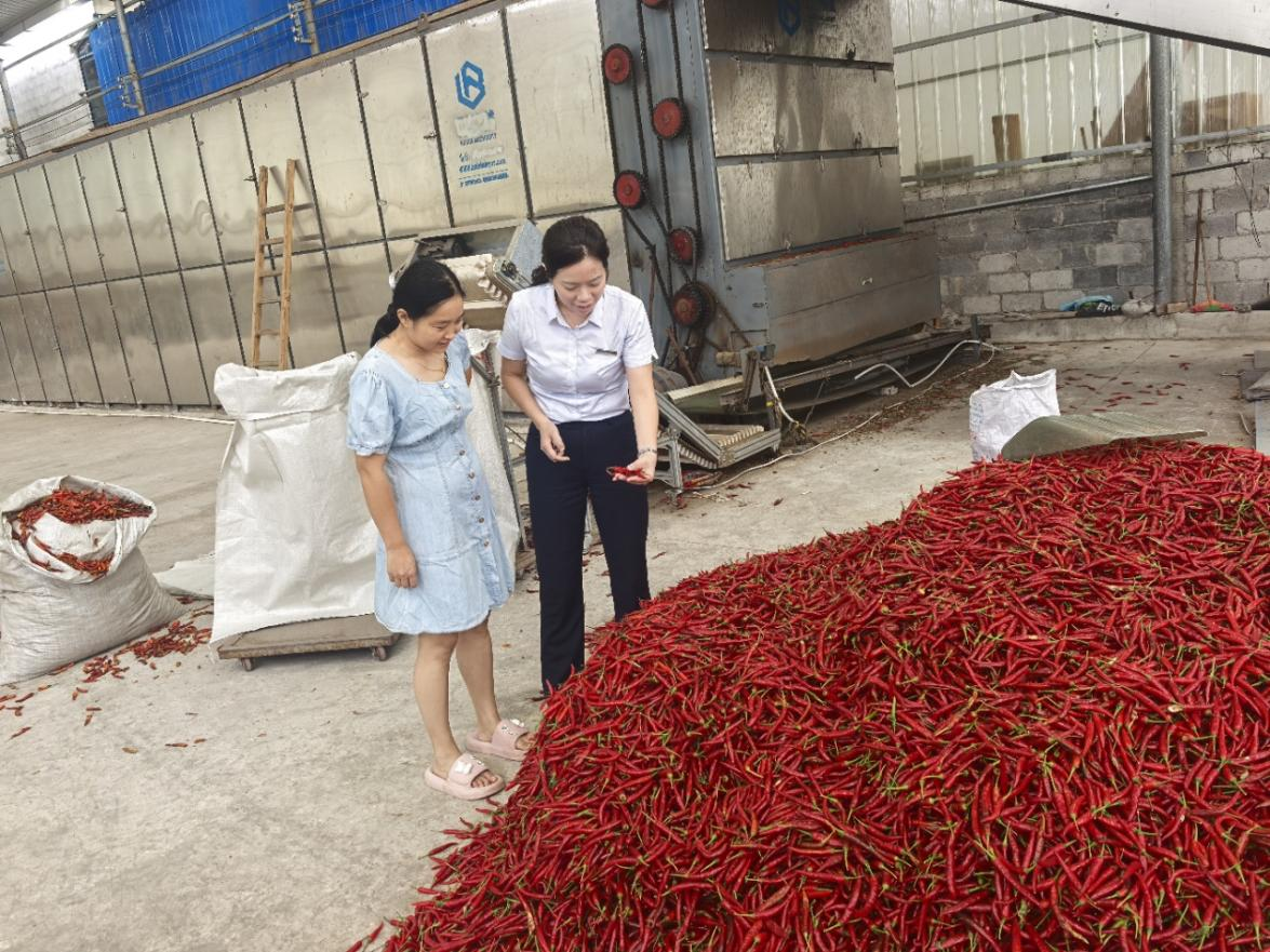 銀行工作人員到企業了解情況。