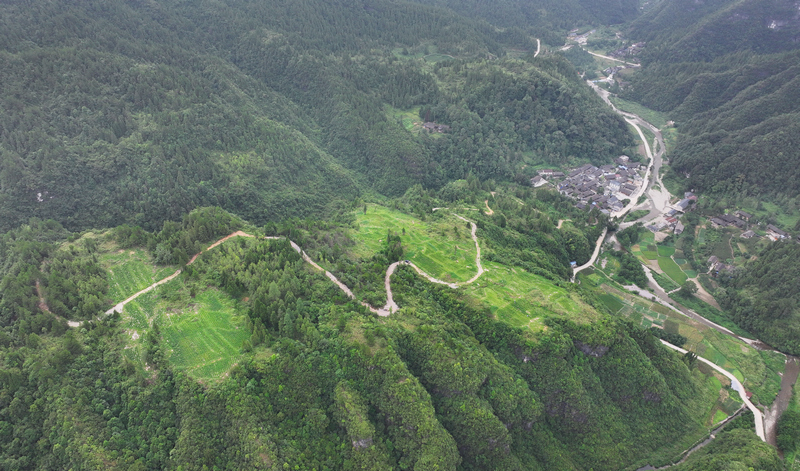 松桃苗族自治縣冷水溪鎮桐子坪村辣椒種植基地。