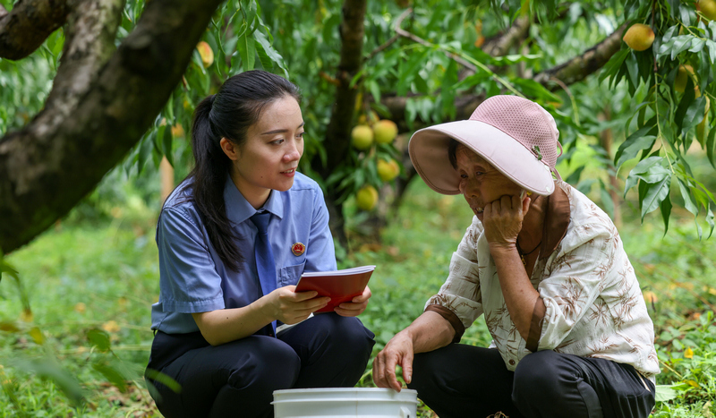 2025年8月7日，在貴州省銅仁市玉屏侗族自治縣新店鎮新店村黃桃種植基地，檢察干警向村民宣傳民法典、防范電信詐騙等相關法律知識。