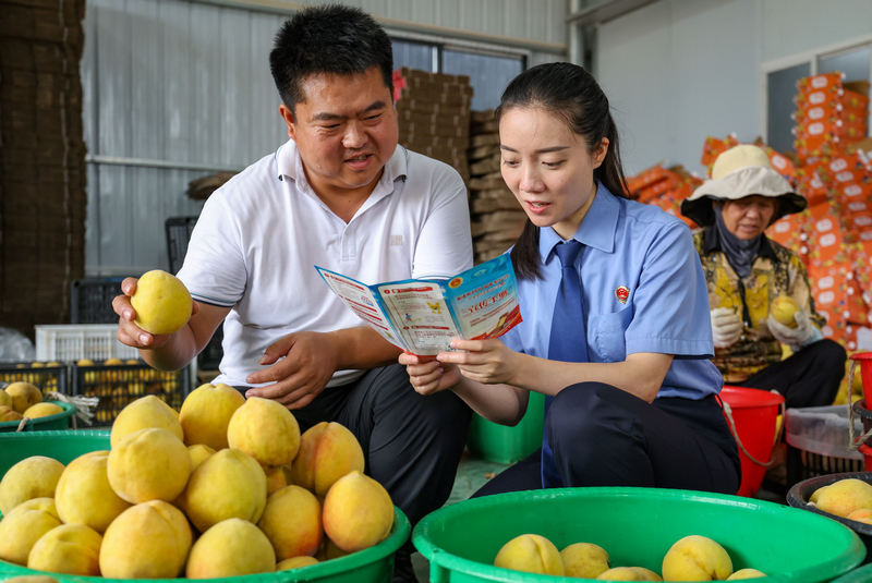 2025年8月7日，在貴州省銅仁市玉屏侗族自治縣新店鎮新店村黃桃種植基地，檢察干警向村民宣傳民法典、防范電信詐騙等相關法律知識。
