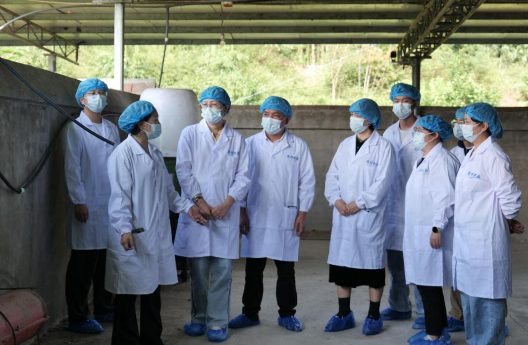 貴州農職院“望、聞、問、切”育新才 禽創先鋒助振興。