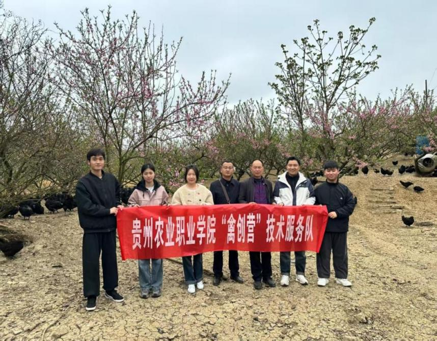 貴州農職院“望、聞、問、切”育新才 禽創先鋒助振興。