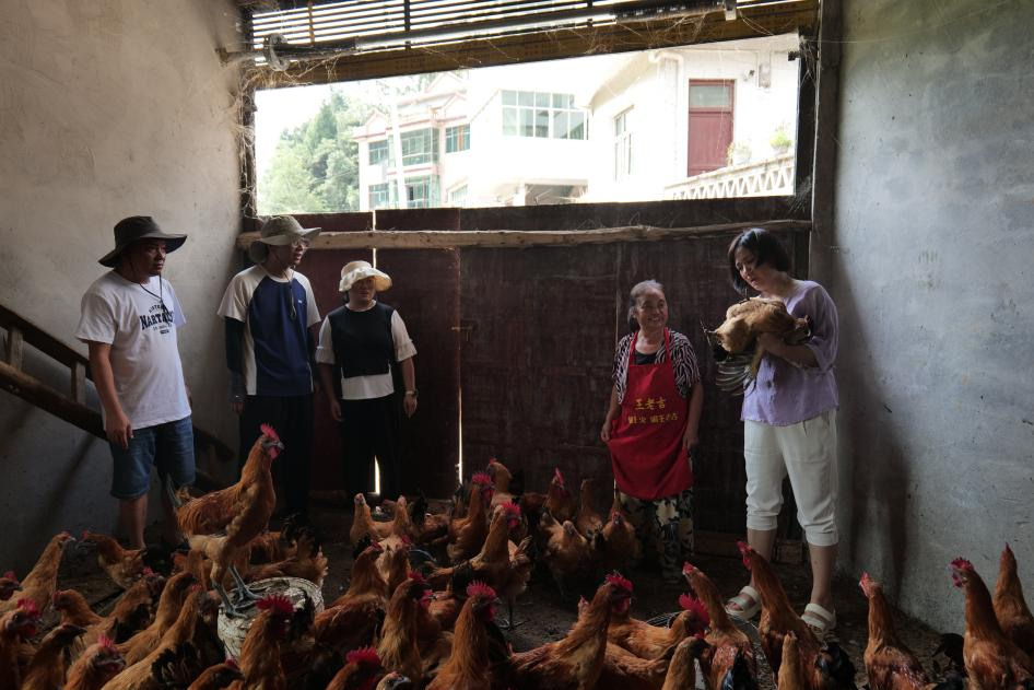 貴州農職院“望、聞、問、切”育新才 禽創先鋒助振興。