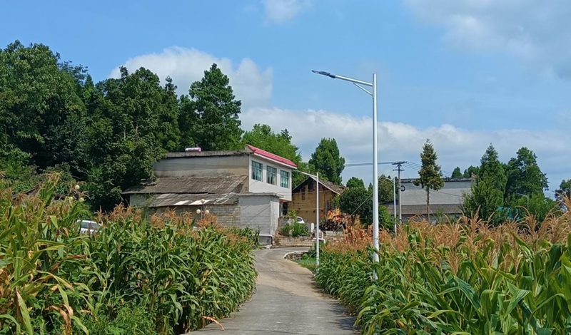 息烽縣小寨壩鎮(zhèn)大灣村上壩組新安裝的路燈。