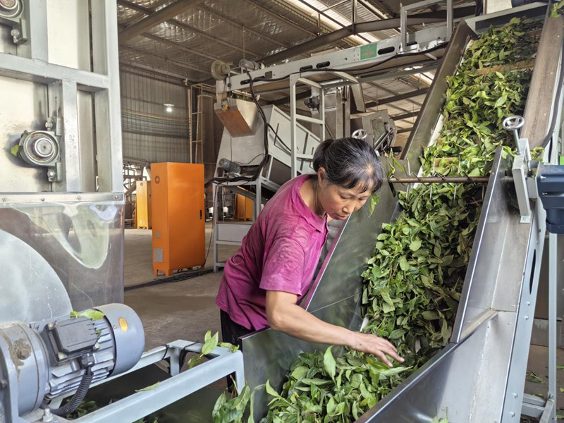 印江深入踐行“兩山論”鋪就綠色發展坦途。