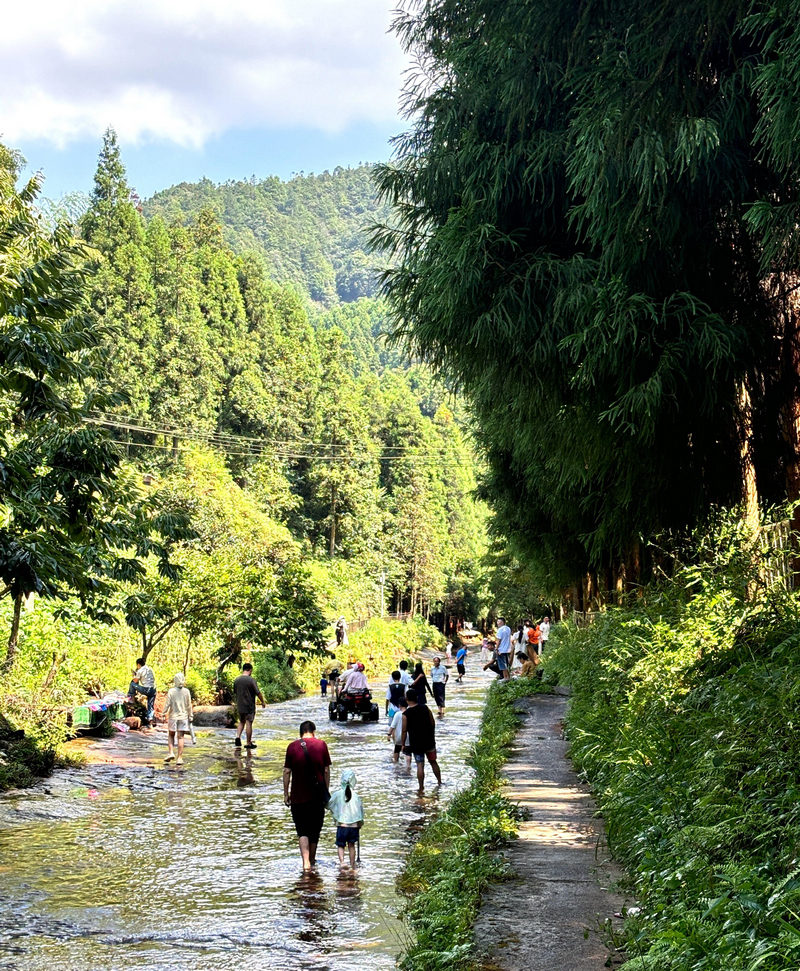 飛鴿 “水上公路”，游客戲水納涼好熱鬧。江勇攝