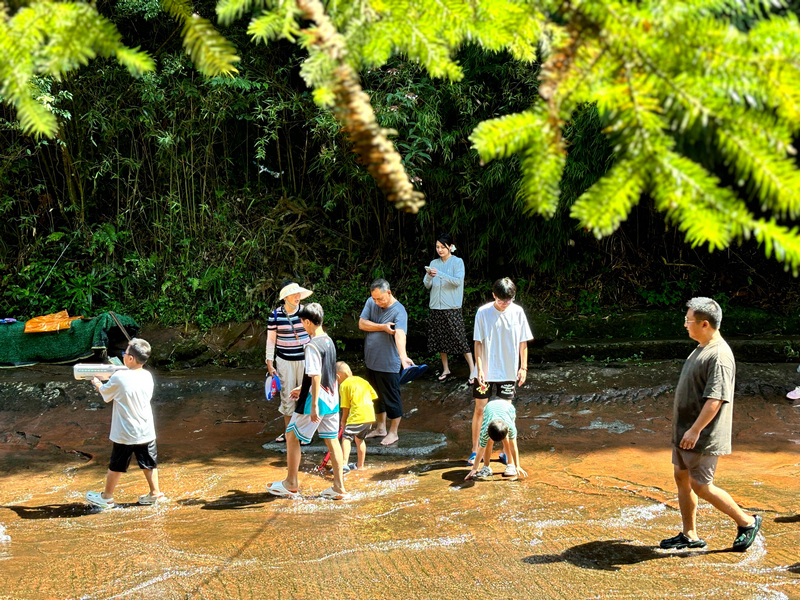 親子踏水嬉戲，暢享天然清涼。江勇攝