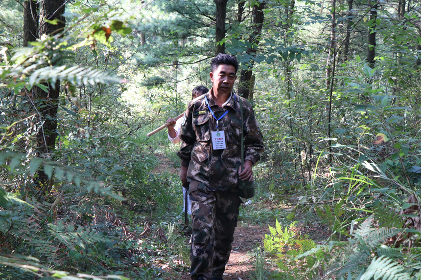 翟思平正在開展巡林工作。張雪建攝