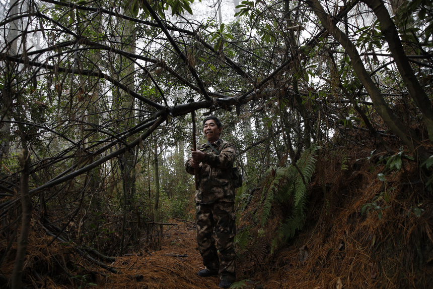 翟思平正在林區巡林。文杰攝