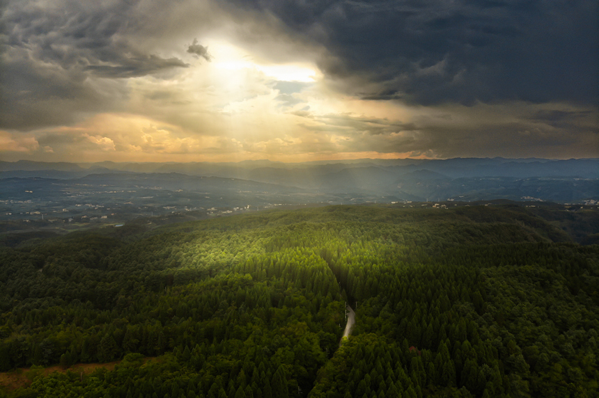 七星關區拱攏坪林場。文杰攝