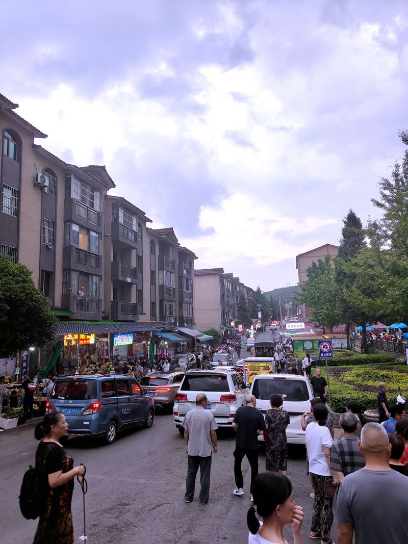 所到之處，皆是車流人流的仙源街道。姚瑤 攝