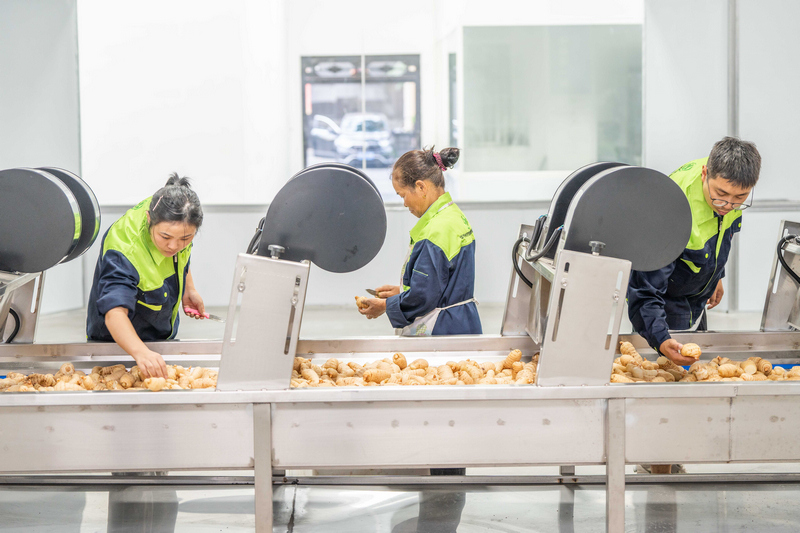 工人正在生產(chǎn)線(xiàn)上作業(yè)。