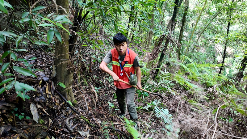 吳攀勝對雜草進行清理。稅會靜攝
