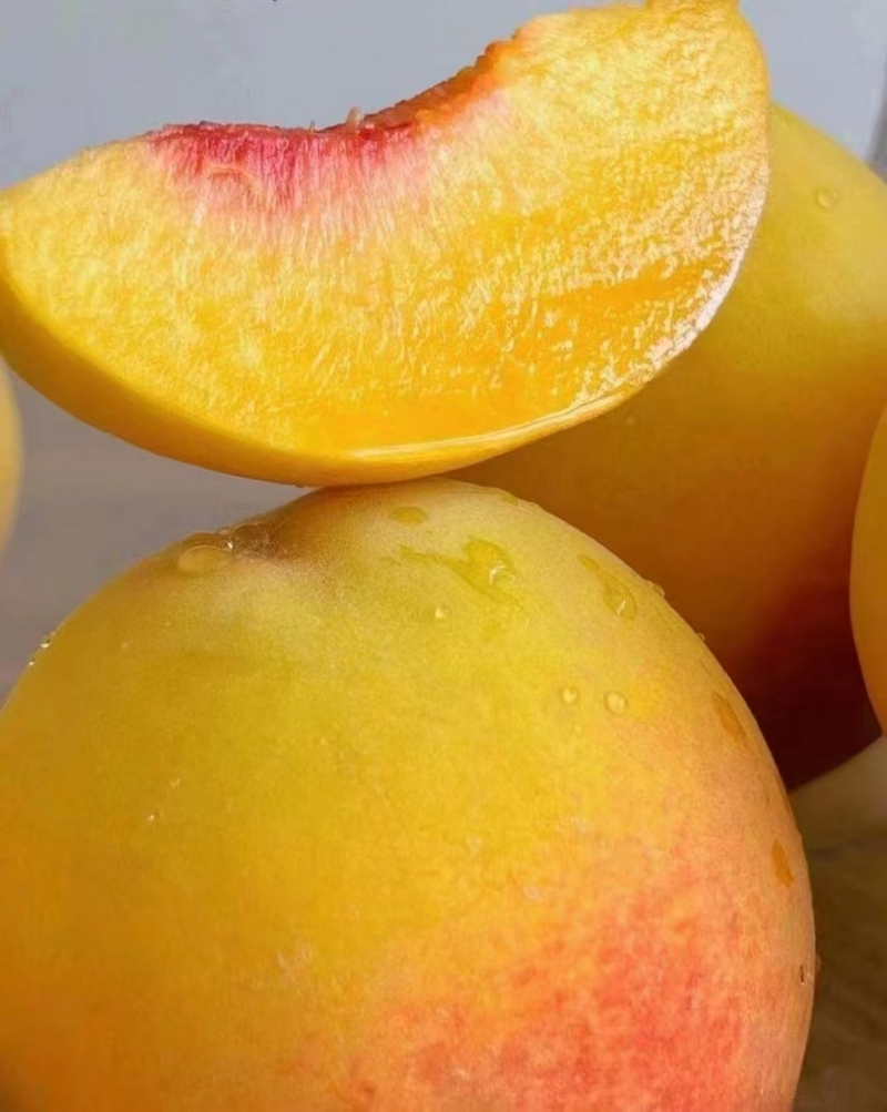 色澤誘人的黃桃。金莎 攝.jpg