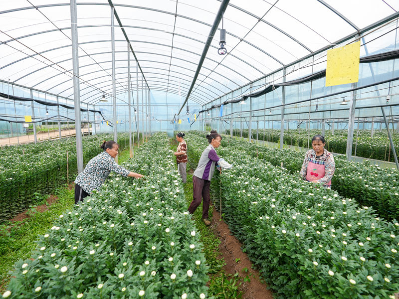 帶動(dòng)了當(dāng)?shù)厝罕娋蜆I(yè)。