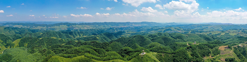 海雀村的萬畝林海。赫章縣林業(yè)局供圖
