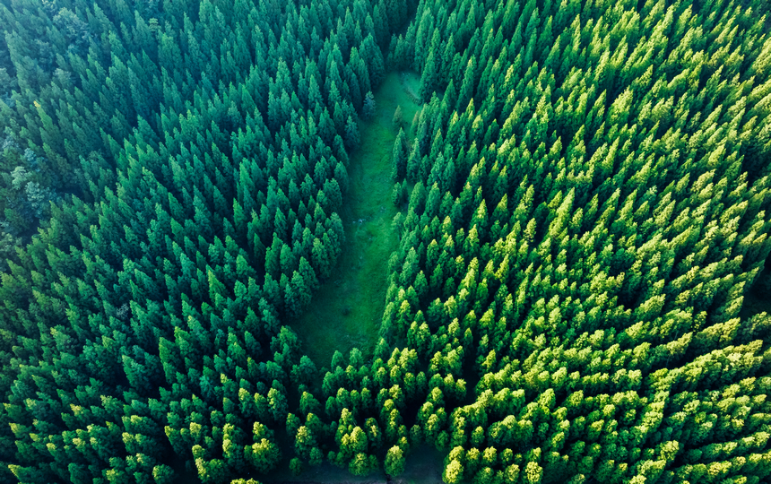 《清新雨奪箐》。肖本祥攝