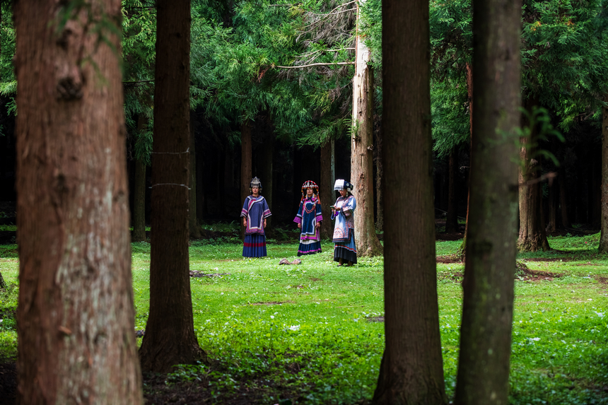 《清新雨奪箐》。肖本祥攝