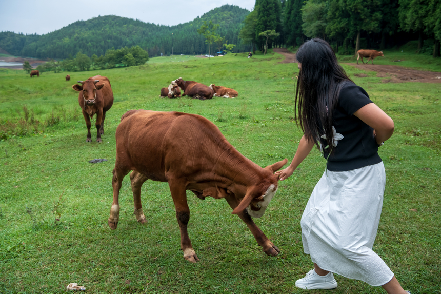 《清新雨奪箐》。肖本祥攝